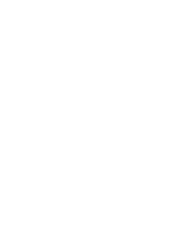 Publieke dienstverlening icon