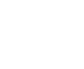 Secure-Connect icon